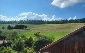 Hotel-Restaurant Le Cochon Rose